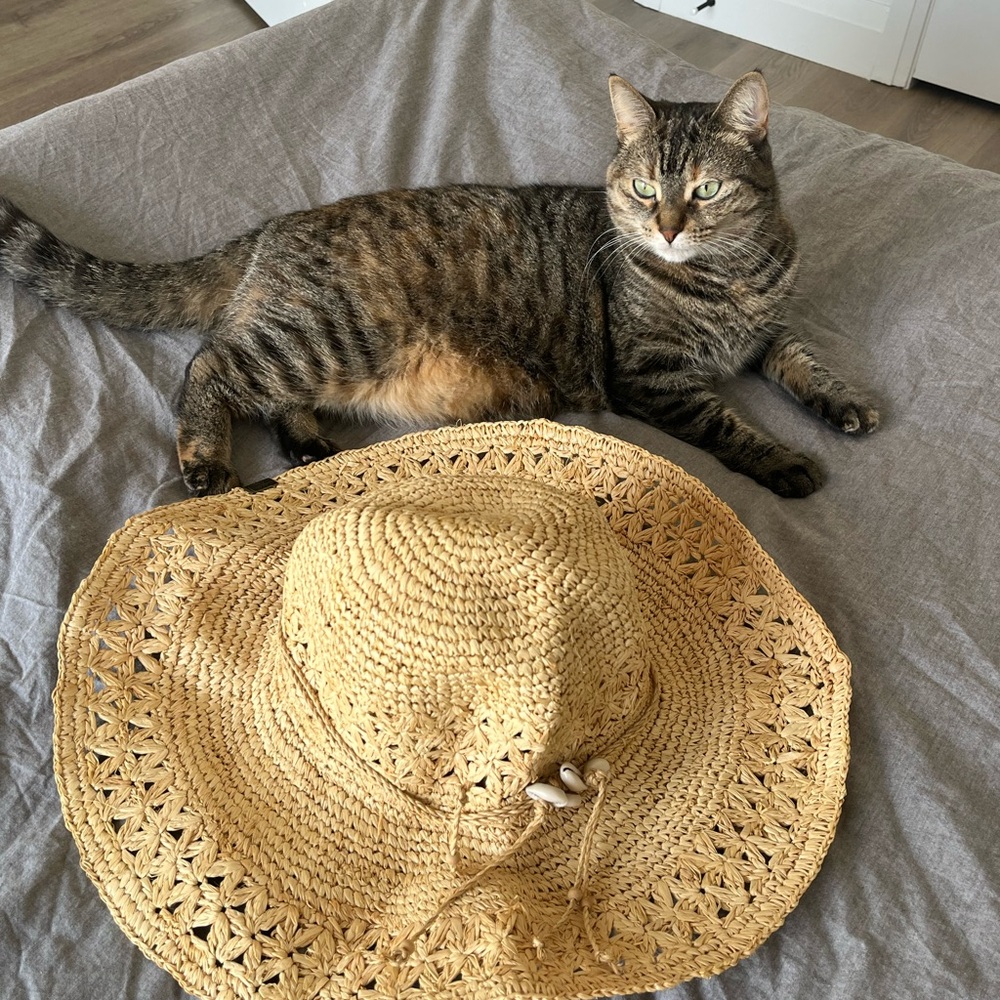 Peter Grimm Stylish Tan Straw Hat